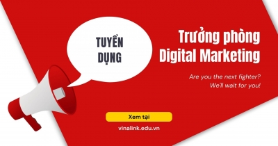 VINALINK TUYỂN DỤNG VỊ TRÍ TRƯỞNG PHÒNG DIGITAL MARKETING 